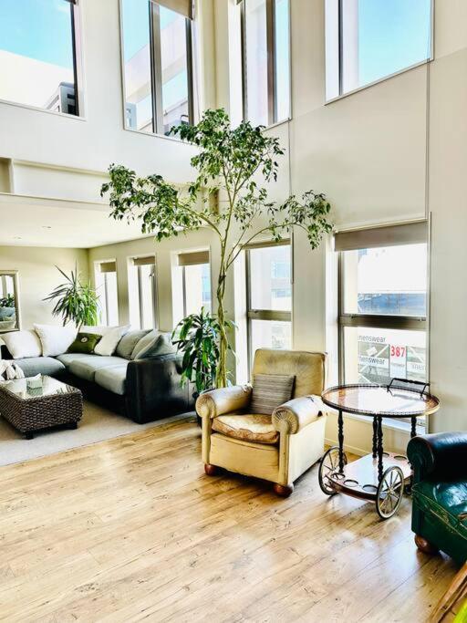 Stunning New York Loft Gallery Christchurch Eksteriør billede